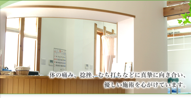 体の痛み、捻挫、むち打ちなどに真摯に向き合い、優しい施術を心がけています。